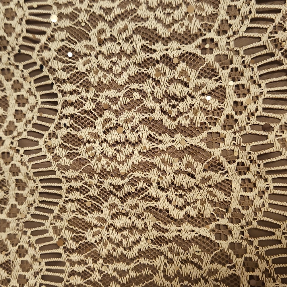 Taupe Lacey Dress| Jessica Howard| W Sz. 14 |Bridal, Winter Formal, Fairycore - Picture 10 of 13